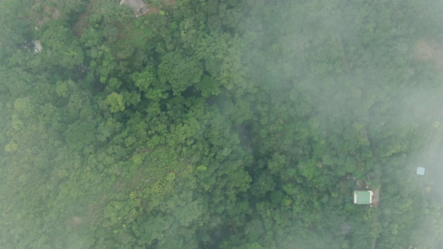 无人机拍摄的哥伦比亚郁郁葱葱的森林和云层视频素材