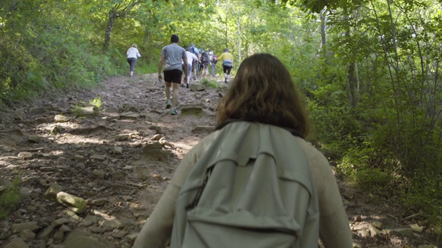 一群人在山上徒步旅行，穿越森林在早上。男女朋友活动，自然，自由，运动，健康，散步，快乐，背包。视频素材