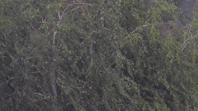 狂风暴雨。视频素材