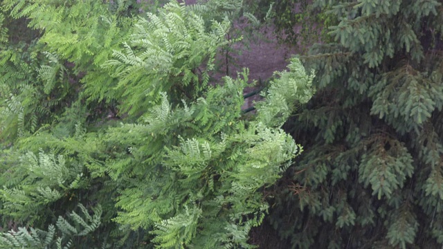 狂风暴雨。视频素材