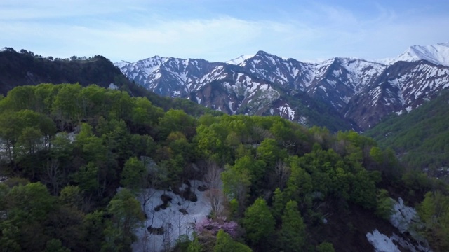 日本山形县小国万代朝日国家公园，空中WS饭出山视频素材