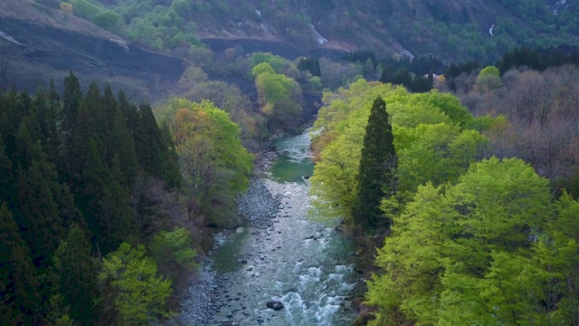 空中WS河和森林，万代朝日国家公园，小国，山形县，日本视频素材