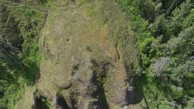 在阳光明媚的春日，从空中俯瞰蒙大拿米苏拉县响尾蛇荒野地区的山峰。无人机视频与向前和倾斜的摄像机运动。视频素材