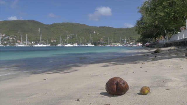 伊丽莎白港海滩，Bequia，圣文森特和格林纳丁斯，西印度群岛，加勒比，中美洲视频素材