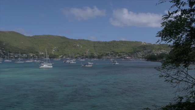 在港口的伊莉莎白，Bequia，圣文森特和格林纳丁斯，西印度群岛，加勒比，中美洲视频素材