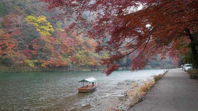 秋天在日本京都岚山Katsura-gawa河视频素材