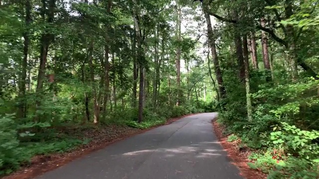 弗吉尼亚海滩的道路视频素材