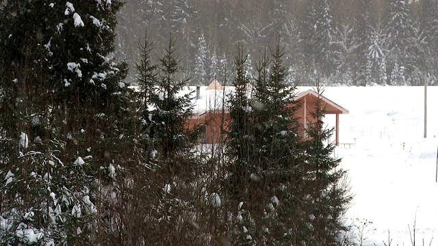 冬日森林中的小屋视频素材