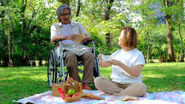 一对老夫妇在公园里休息视频素材