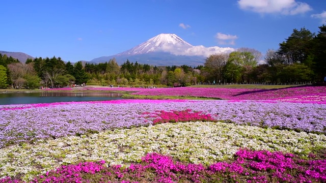 富士山视频素材