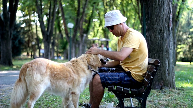 一个戴着帽子的人在公园里和他的宠物狗玩。金毛猎犬。一个人和他的狗坐在公园的长椅上视频素材