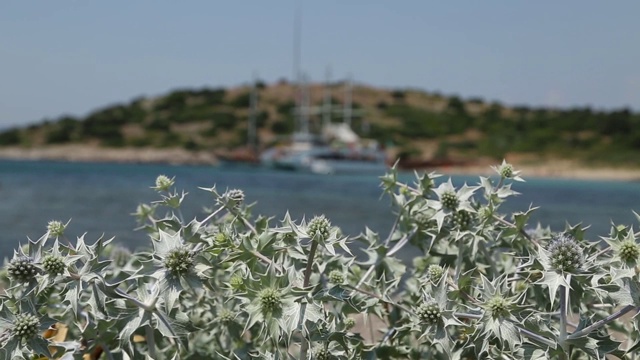 卡纳卡莱的游艇和观光船。
Canakkale /土耳其11.04.2015视频素材