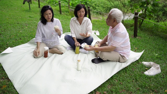 在公园野餐视频素材