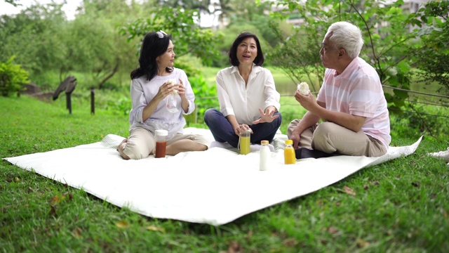 朋友们在野餐视频素材