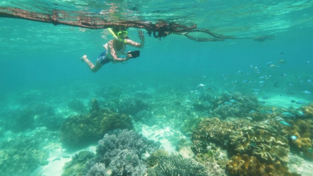 浮潜少女正在用手机拍摄海洋生物的照片，水下拍摄。视频素材