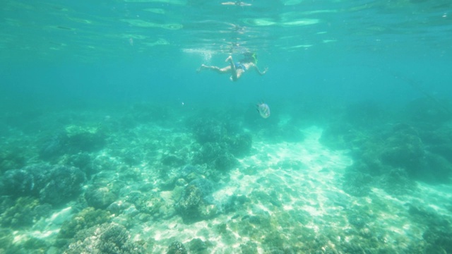 水下风景年轻女子浮潜在海上和拍摄热带鱼。女孩带着通气管在水下游泳，在透明的大海里看热带鱼。视频素材