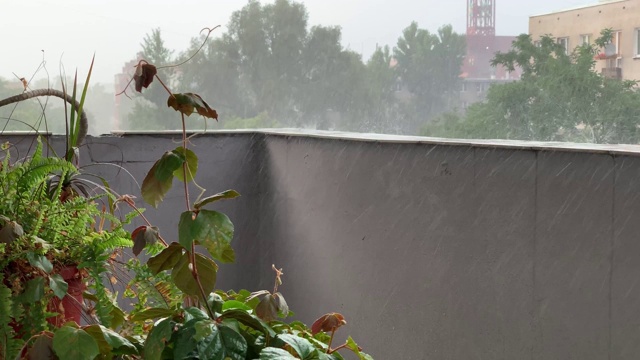 波兰城市的暴雨伴随着突然的暴风雨视频素材