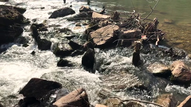 山涧在岩石和树木之间流淌视频素材