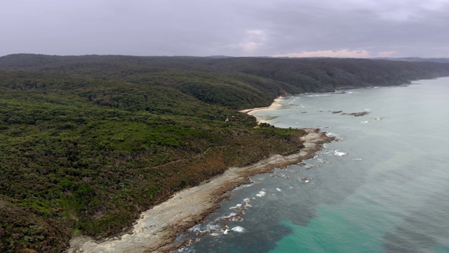 鸟瞰图的澳大利亚海岸，森林和原始海滩视频素材