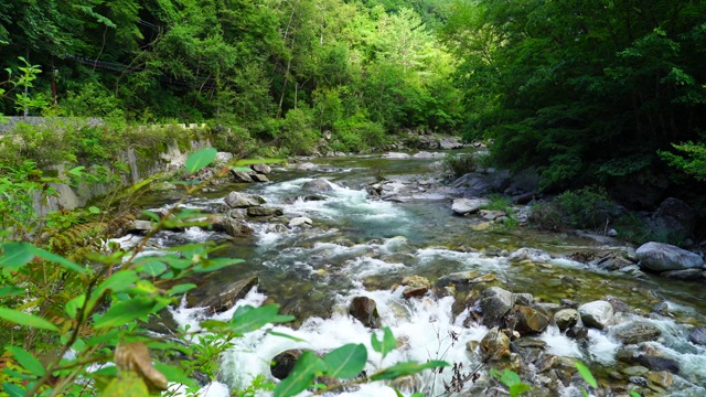 韩国江原道平昌的大台山和大台溪视频素材