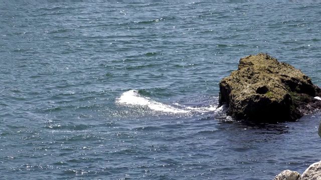 岩石海岸视频素材