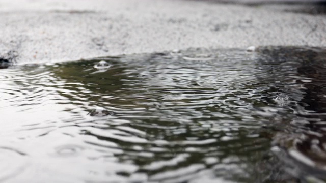 城市里的雨视频素材