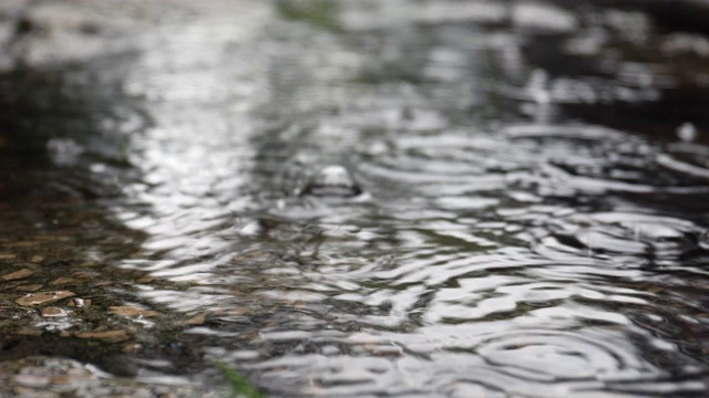 城市里的雨视频素材