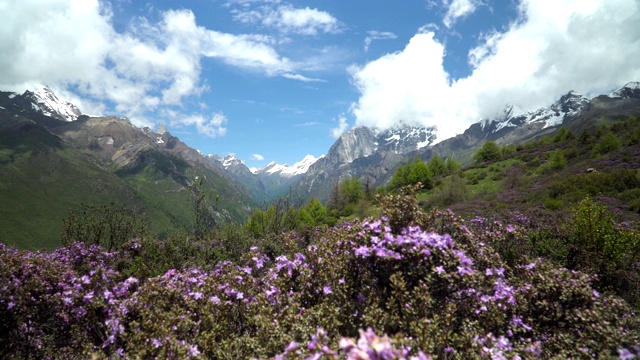 平盘景观:中国四川省四姑娘山国家公园海子谷四姑娘山地区的山脉自然景观视频素材