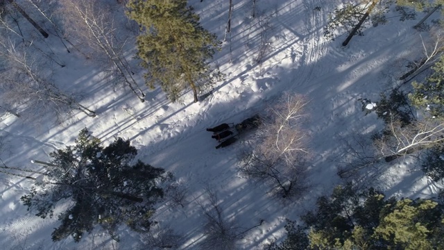 航拍:俄罗斯贝加尔湖，在树林中白雪覆盖的田野上的马车视频素材