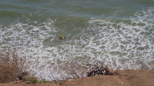 海浪翻滚在海岸悬崖的视角视频素材