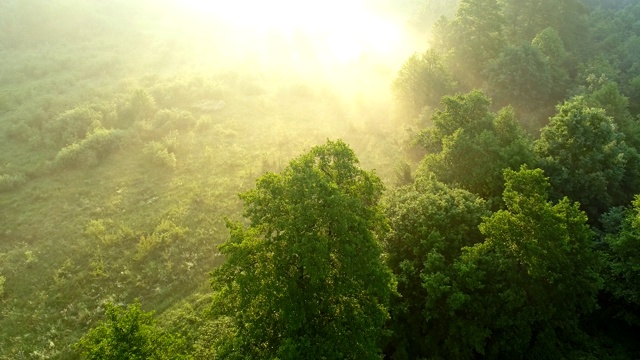 航拍夏天薄雾草地和绿树在夕阳温暖的灯光。UHD 4 k视频素材