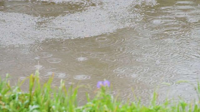 雨水落在人行道上的水坑里视频下载