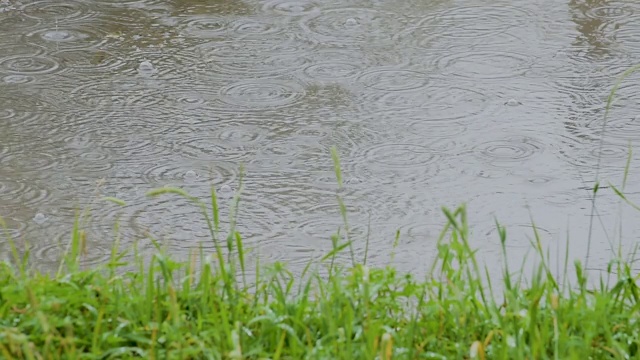 雨水落在人行道上的水坑里视频素材