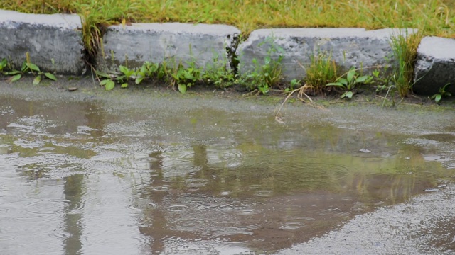 雨水落在人行道上的水坑里视频下载