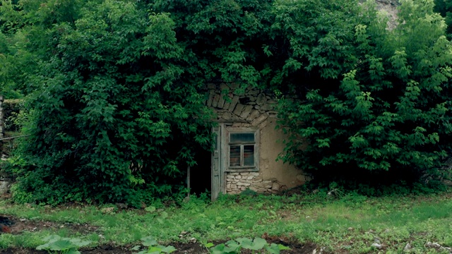 废弃的小仙女小屋视频素材