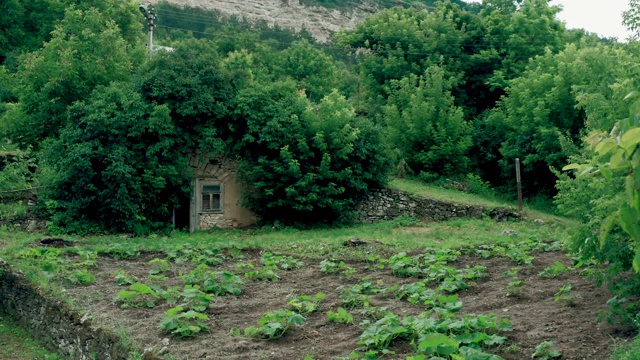 废弃的小仙女小屋视频素材