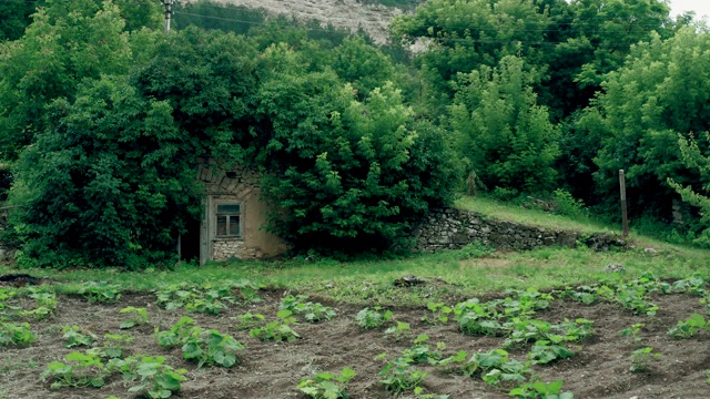 废弃的小仙女小屋视频素材