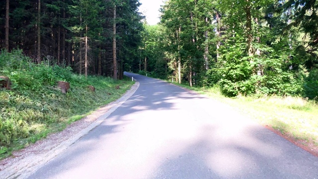 穿过森林的乡村道路视频素材