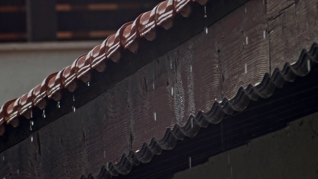 屋顶上的大雨视频素材