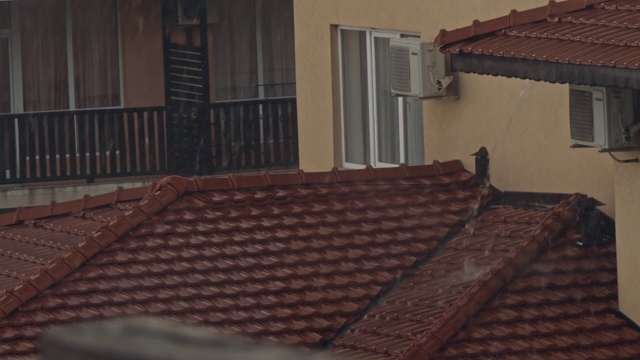 屋顶上的大雨视频素材