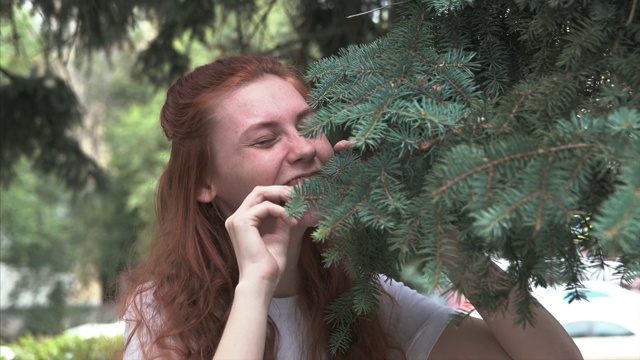 美丽的姜女节食吃松针视频素材