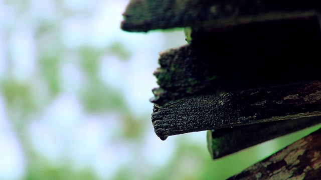 雨落在旧木屋顶上。视频素材