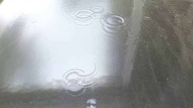 雨波视频下载