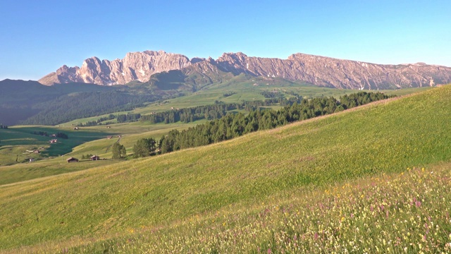 意大利Dolomites的Alpe di Siusi夏日日出全景视频素材