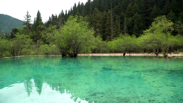 平移视图:黄龙谷景观池塘的表面水平，四川，中国视频素材