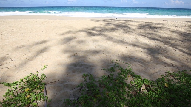 异国风情的海浪海滩，白色的沙滩，蓝色的天空视频素材