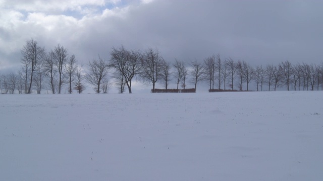 冬天的印象——一场暴风雪即将来临——这是一场持久战视频素材