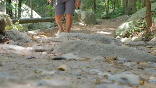 人类在森林中徒步旅行视频素材