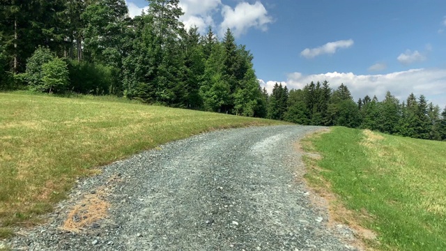 道路和森林视频素材