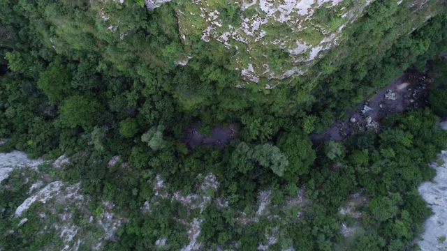 山涧流过森林视频素材